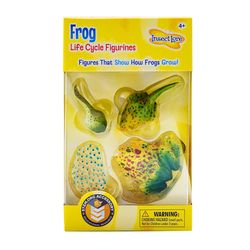 Insect Lore Frog Life Cycle Figurines Multicolored 4 pc