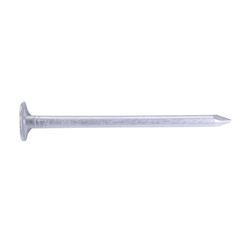 Grip-Rite 2 in. Siding Vinyl Aluminum Nail Round Head 1 lb