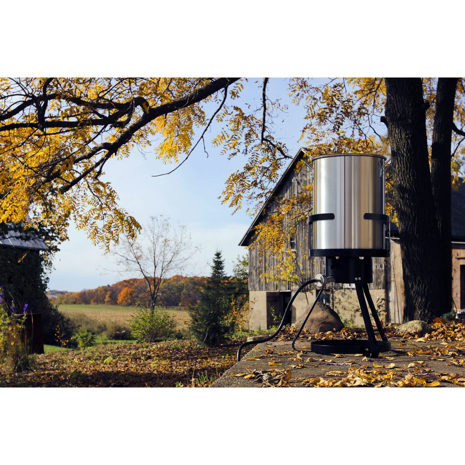 image-5
