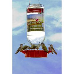 Humdinger Hummingbird 32 oz Glass Bottle Nectar Bird Feeder 8 ports