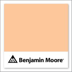 Benjamin Moore Peach Pudding 137
