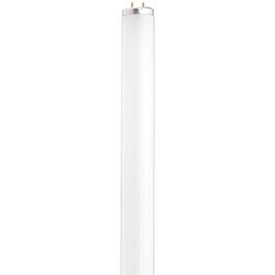 Satco 20 W T12 1.5 in. D X 23.78 in. L Fluorescent Bulb Cool White Linear 4100 K 1 pk