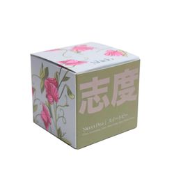Chive Shido White Sweet Pea Scent Candle/Gift Box 8 oz