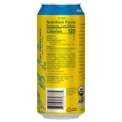 Yerba Madre Blueberry Beverage 16 fl. oz. 1 pk