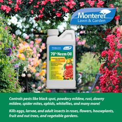 Monterey 70% Neem Oil Organic Insect Killer Liquid Concentrate 1 pt