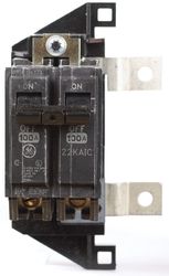 GE PowerMark Gold 100 amps Standard 2-Pole Circuit Breaker