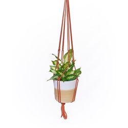 Primitive Planters Rust Macrame 36 in. H Plant Hanger 1 pk