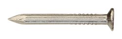 Ace 3/4 in. Masonry Bright Steel Nail Flat Head 1 lb