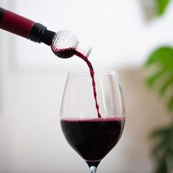 Kikkerland Glass Wine Aerator
