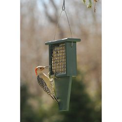 Songbird Essentials Woodpecker 1 each Plastic Suet Feeder Cage