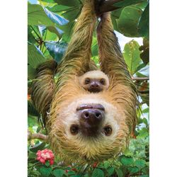 Eurographics Sloths Jigsaw Puzzle Multicolored 250 pc