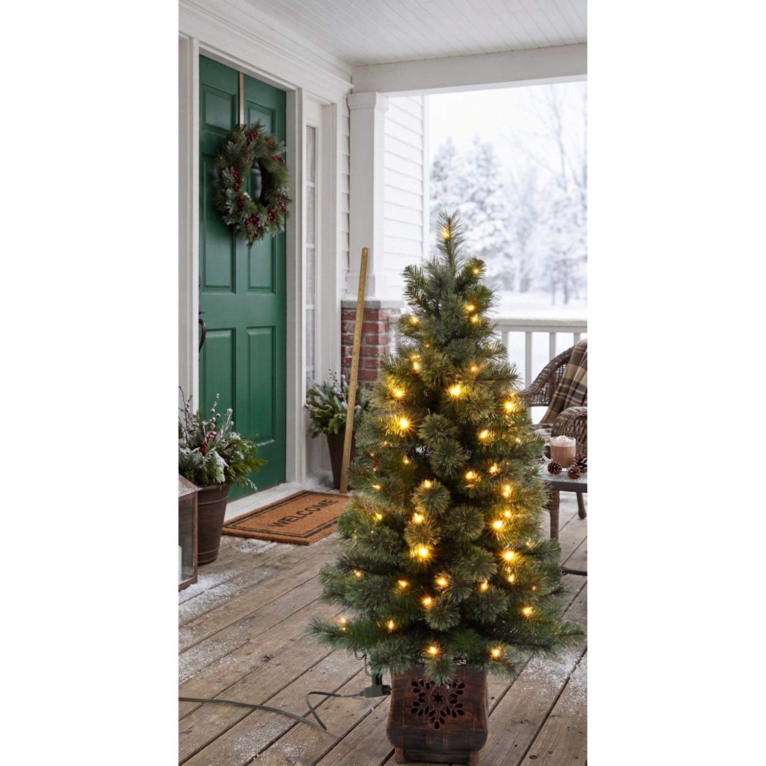 image-2