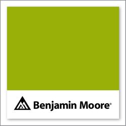 Benjamin Moore Dark Lime 2027-10