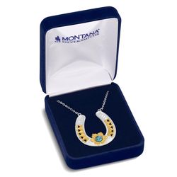 Montana Silversmiths Women's The Outrider Turquoise Necklace Brass