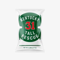 Barenbrug Kentucky 31 Tall Fescue Grass Sun or Shade Grass Seed 5 lb