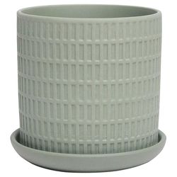 Chive Virago 3.3 in. D Ceramic Shape A Succulent Pot Olive