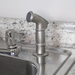 Danco Brushed Nickel Faucet Sprayer with Hose