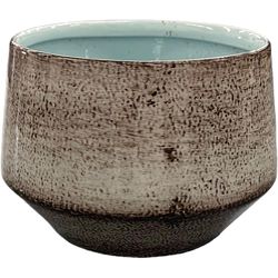 Robert Allen 5 in. D Steel Tapered Chalet Planter Spearmint
