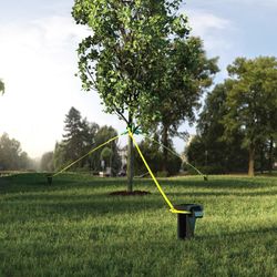 Panacea 15 in. H Black Plastic Tree Stakes