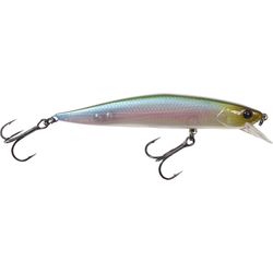 Lunkerhunt Fishing Lure
