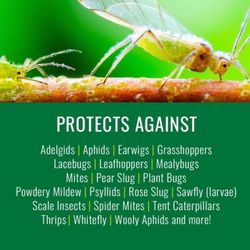 NATRIA Ready-to-Use Organic Insect Killing Soap Spray 24 oz