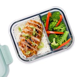 Progressive SnapLock 4 cups Clear/Mint Split Food Container w/Lid 1 pk