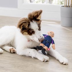 Kikkerland For Dog Plush Fidos Squeeky Dog Toy 1 pk