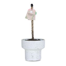 Mossify 16 in. H Brown Coir Pole