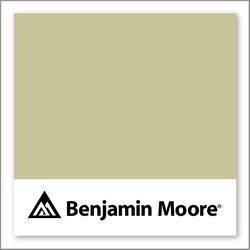 Benjamin Moore Grasshopper AF-415