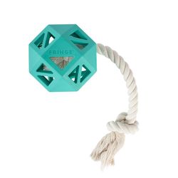 Pet Shop by Fringe Studio For Dog Teal Bloom Rubber Pull My Way Pet Toy 1 pk
