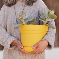 Bloem Saturn 8.5 in. H X 9.75 in. W Polyresin Traditional Planter Yellow