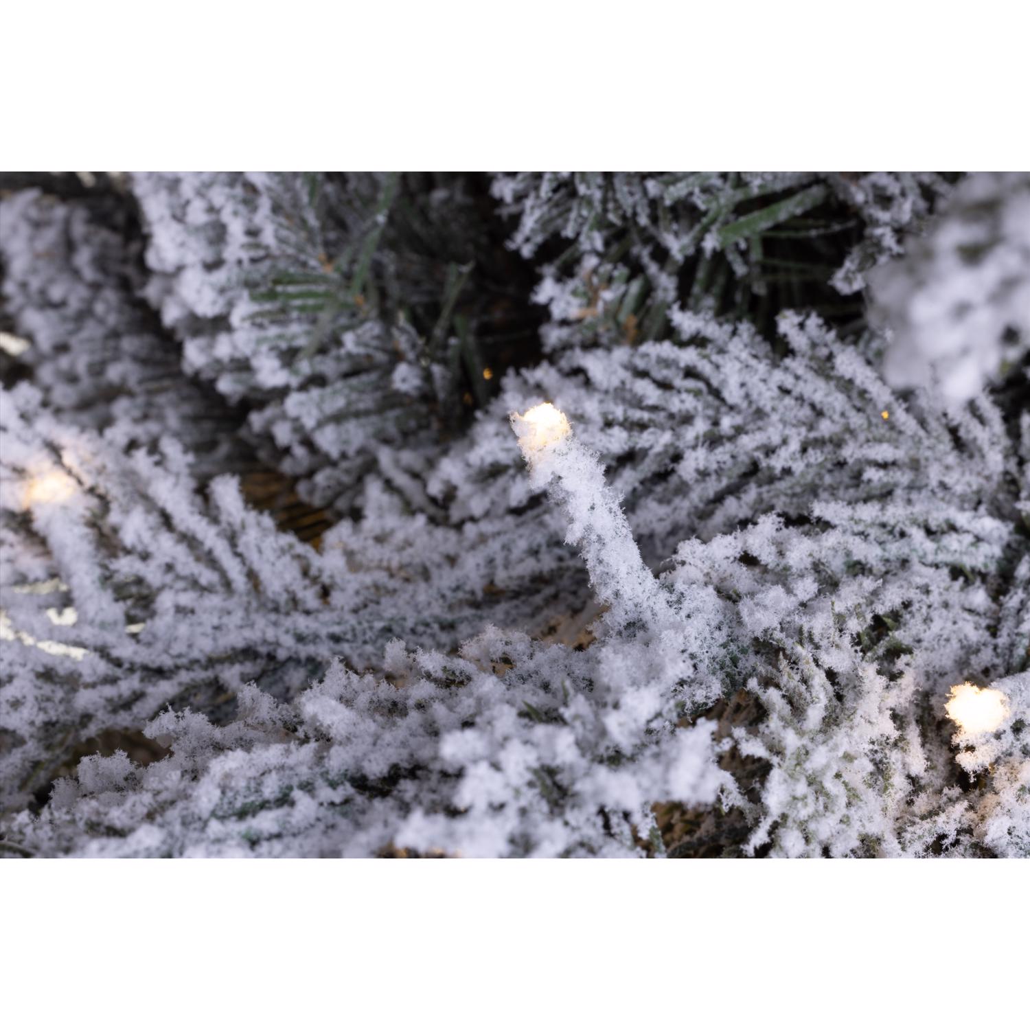 image-4