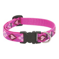 LupinePet Original Designs Multicolor Puppy Love Nylon Dog Adjustable Collar