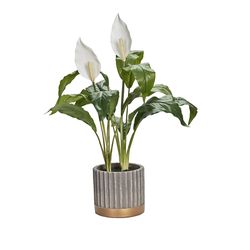 DW Silks 21 in. H X 14 in. W X 14 in. D Polyethylene Peace Lilies Faux Plant Gold/Gray