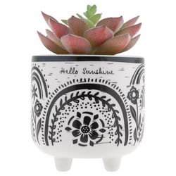 Karma 7 in. H X 6 in. L Black/White Ceramic/Plastic Hello Sunshine Footed Pot