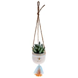 Karma 2 in. H X 2 in. L Multicolored Ceramic Hanging Succulent Pot