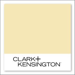 Clark+Kensington Exude Confidence 21B-3