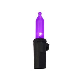 Celebrations Purple 100 ct LED Mini Halloween String Lights