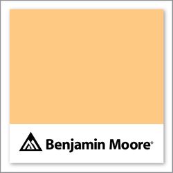 Benjamin Moore Florida Orange 152