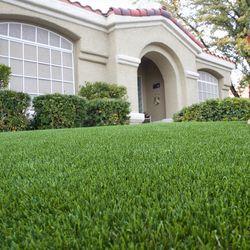 SYNLawn Fern 15 ft. W X 20 ft. L Green Polyethylene Astroturf
