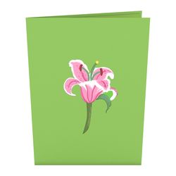 Lovepop Lily Bloom 3D Card Paper 1 pk