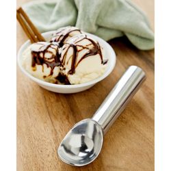 Fox Run Silver Aluminum Ice Cream Scoop