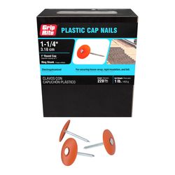 Grip-Rite No. 12 1-1/4 in. Cap Bright Steel Nail Full Round Head 1 lb