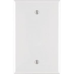 Leviton White 1 gang Nylon Blank Wall Plate 1 pk