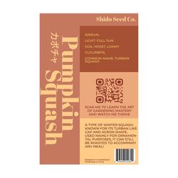 Chive Shido Seed Co Pumpkin Squash Seeds 1 pk