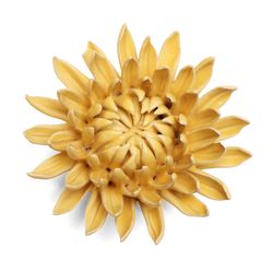 Chive Collection 12 1 in. H X 3 in. L Glazed Yellow Ceramic Mum Wall Flower