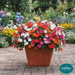 Austram Vizcaya 18 in. H X 12 in. W X 12 in. D Stone Planter Rust