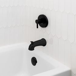 Danco 3 in. Matte Black Round Plastic Overflow Plate