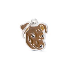 MyFamily Friends Brown Red Pinscher Metal Dog Pet Tags Medium