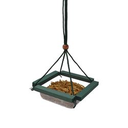 Songbird Essentials Bluebirds Polycarbonate Hanging Hanging Tray Bird Feeder